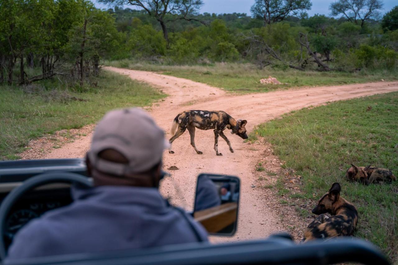 Thornybush Game Lodge Thornybush viltreservat Exteriör bild