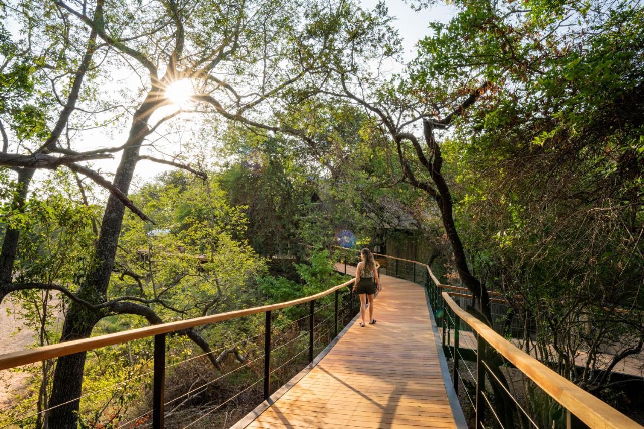 Thornybush Game Lodge Thornybush viltreservat Exteriör bild